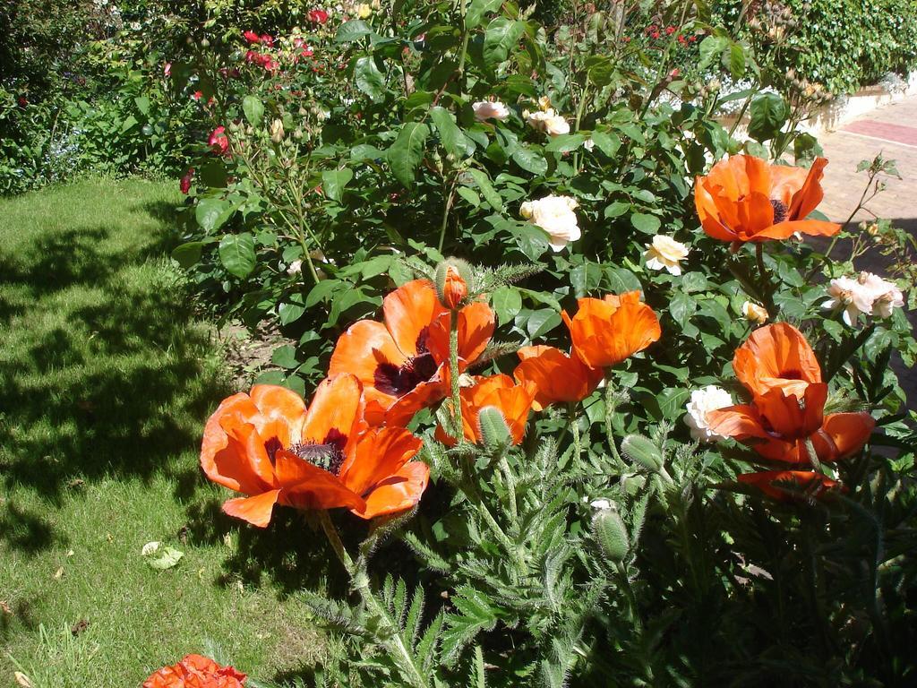 Couette Et Cafe Creme Bed and Breakfast Le Coudray Exteriör bild